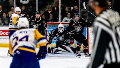 Rebels lose 8-5 in hard battle against the Blades for game three of playoff series