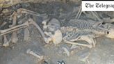 Iron Age human ‘blood sacrifice’ victim found in Dorset