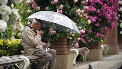 日本65歲以上長者人數創新高 在職高齡者達914萬人