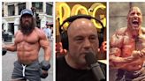 Joe Rogan Accuses Dwayne Johnson & Others of 'Not Being Clean'