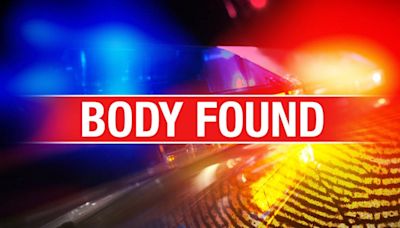Skeletal remains found north of Springfield