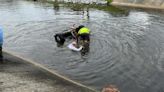 Bystanders rescue 2 people after car crashes into canal