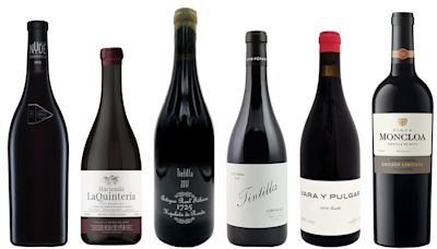 Seis vinos de la singular variedad tintilla de Rota