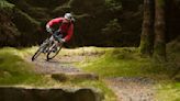 Have your say on future plans for the 7stanes trail networks