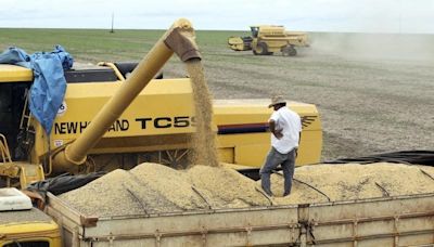 Argentina: receita com exportação de grãos cai 37% em maio, para US$ 2,612 bilhões Por Estadão Conteúdo