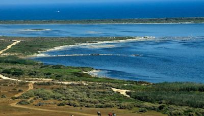 La espectacular playa de Almería que tiene una de las dunas mejor conservadas de España