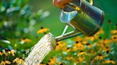 ‘Common’ watering mistakes to avoid in spring and summer or risk plants dying