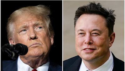 Trump wants Elon Musk focused on government 'efficiency.' Critics say key services, perhaps Social Security, could be in his sights.