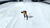 Norwegian breaks world record for high-speed backwards skiing