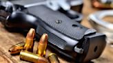 Should gun store sales get special credit card tracking? States split on mandating or prohibiting it