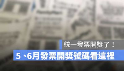 統一發票5、6月號碼開獎：發票兌獎、開獎、領獎懶人包 2024(113年) 版