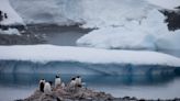 Comisión de Defensa de Chile se reúne en la Antártida en medio de roces por reclamos territoriales
