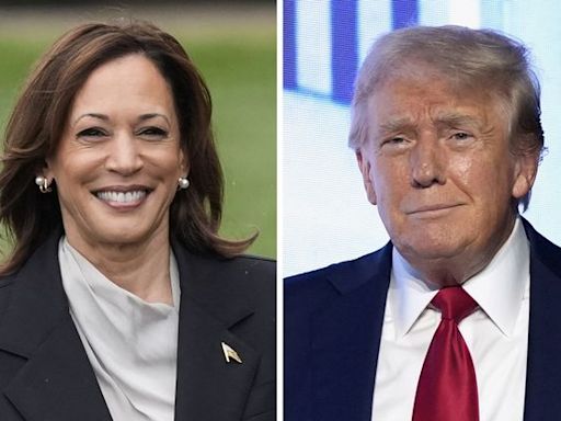 Donald Trump says he will ‘probably’ debate vice president Kamala Harris