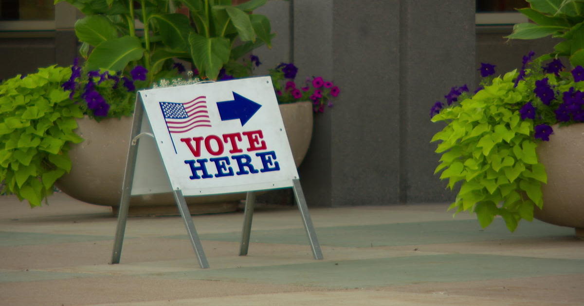 Minnesotans cast their votes in 2024 primary, get in "election mode" for November