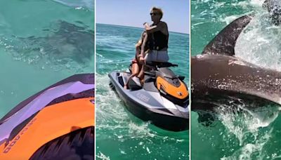 'Aggressive' bull shark caught on video circling, ramming into jet skiers days after successive attacks
