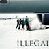 Illegal (2010 film)