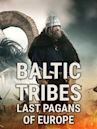 Baltic Tribes (film)