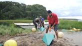 First Light Shellfish Farm brings economic sustainability to Mashpee Wampanoag Tribe