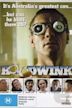 Hoodwink (1981 film)