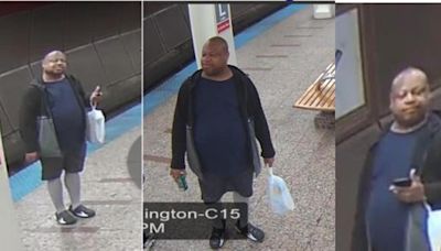 Suspect sought in attack on CTA Red Line platform downtown: police