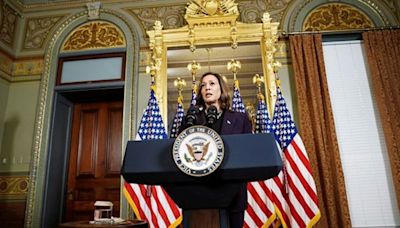 More than 160,000 people join white women for Kamala Harris Zoom call | World News - The Indian Express