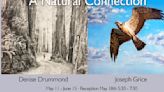 ‘A Natural Connection’ exhibit opens Saturday at Arts Council