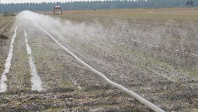 華北黃淮等地持續高溫 水利部：科學調度保障夏播用水