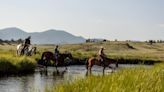 A Ranch Where Quality Beef Production And Biodiversity Coexist