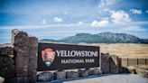 Yellowstone National Park shooting leaves suspect dead, ranger injured