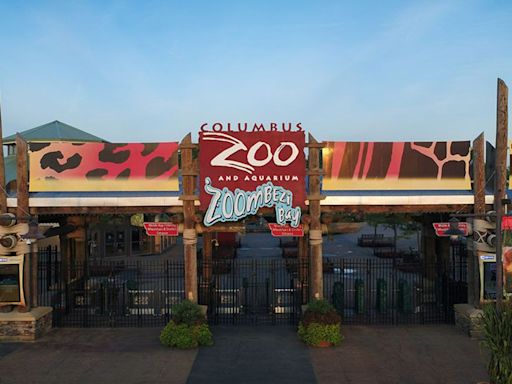 Former Columbus Zoo CEO pleads guilty connected to $2.29M fraud scheme