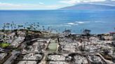 Maui Wildfire Survivors Were Re-Traumatized By Poor Disaster Response, Survey Says