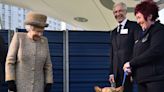 Paul O’Grady once tried to convince Queen Elizabeth II to adopt a rescue corgi