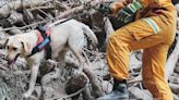 Failed Drug-Sniffing Dog Becomes Icon In Taiwan's Earthquake Recovery