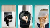 The 13 best cat litter boxes of 2024, tested and reviewed