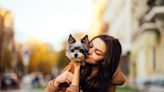 300+ Unique Girl Dog Names for Creative Pet Parents