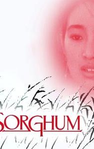 Red Sorghum (film)