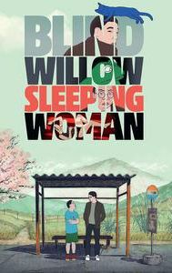Blind Willow, Sleeping Woman (film)