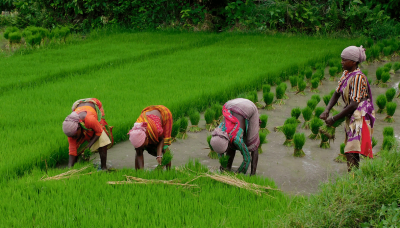 Panchayat-level weather forecast, rooftop solarisation — Centre’s new rural projects in the pipeline