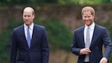 Prince Harry 'Will Not Reconcile' With Prince William During His Upcoming U.K. Trip