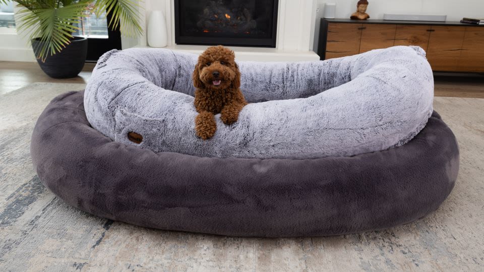 Plufl’s viral human dog bed now comes in an XL size