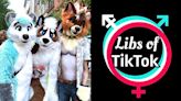 Libs of TikTok is losing it over ABSURD rumors of furries in middle school