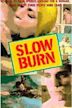 Slow Burn (1986 film)