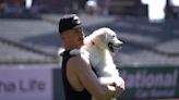 Watch Chappy's puppy adorably interrupt Phillies' pregame routine