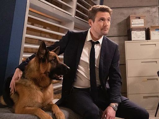 Todo lo que debés saber de Hudson & Rex, la exitosa serie de un detective y su perro que llega a AXN