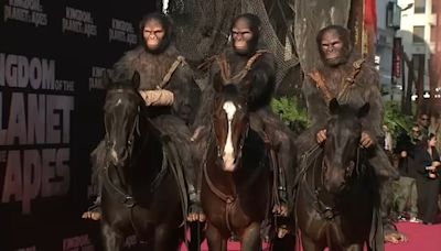 Apes ride into Hollywood for premiere of new film 'Kingdom of the Planet of the Apes'