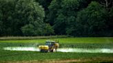 Landwirt versprüht Pflanzenschutzmittel: Mehrere Verletzte in sächsischer Kita