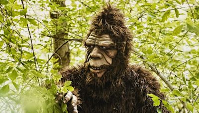'Bigfoot' Prompts School Lockdown in Ohio | Newsradio 600 KOGO | Coast to Coast AM with George Noory