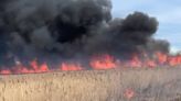 Annual map tracks where controlled burns have happened throughout Illinois