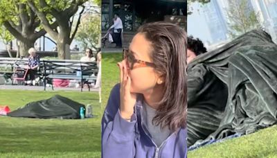 VIDEO: amigas de picnic en Nueva York captan a "la pareja de la manta”, ¿qué estaban haciendo?