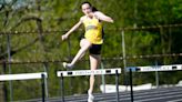 Morris County Track Coaches Association spring honors